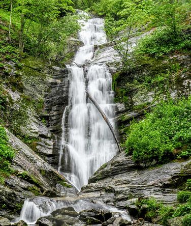 Picture 8 of Toms Creek Falls Hike 050519