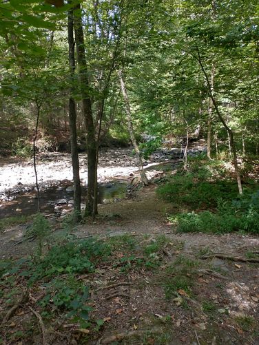 View of Toms Creek from the trail 