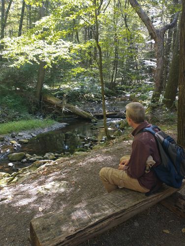 At the wooden bench the creek turns and the trail appears to end but not so.