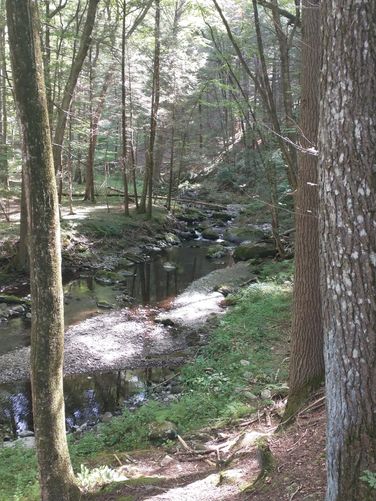 View of Toms Creek from the base of the hill