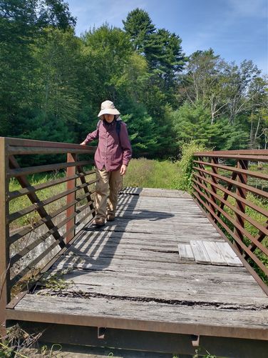 The Bridge at Landis Lake.
