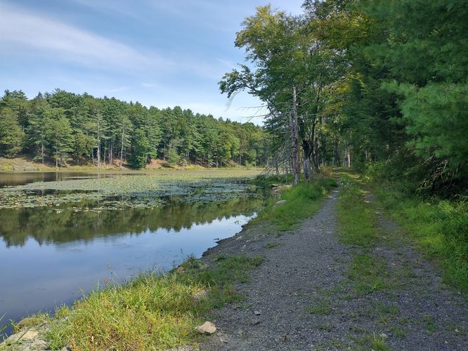 The unmaintained section of Big Egypt Road at Landis Lake.