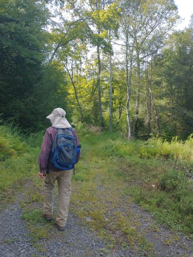 Heading toward the right on Big Egypt Road.