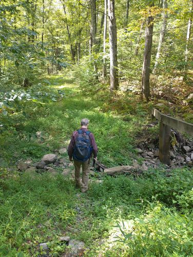 Washed out section of trail.