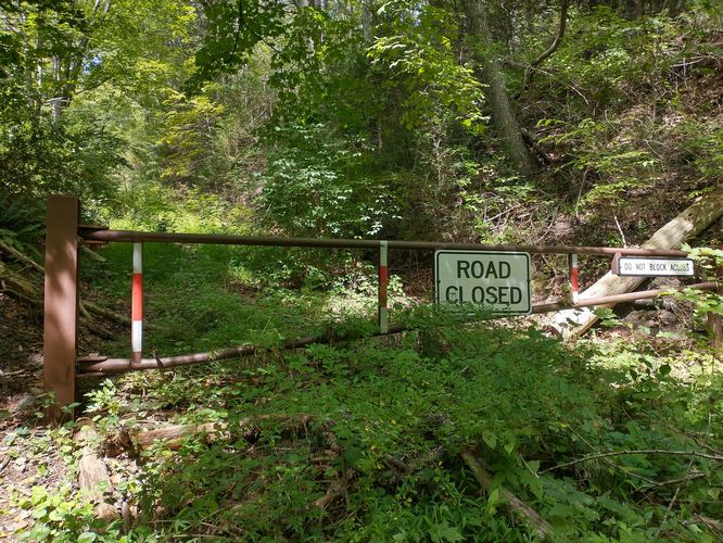 The gate at the end of Big Egypt Road.