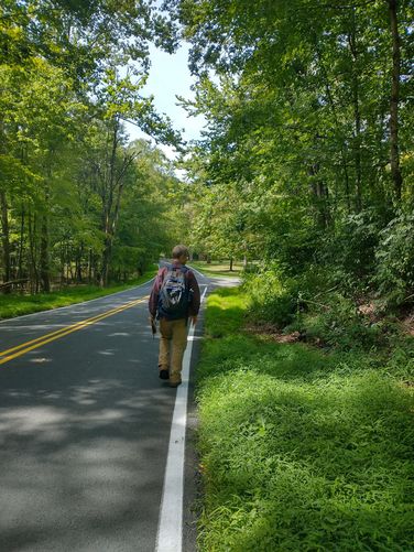Head to the right down Egypt Mills road back to the parking area for Toms Creek Recreation Area.