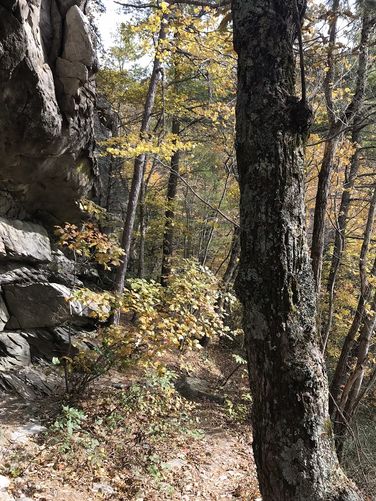 Picture 6 of Torry Ridge and White Rock Falls 011118