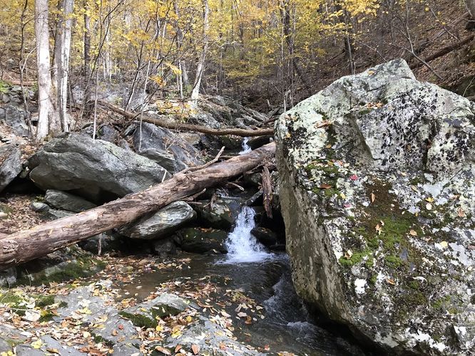 Picture 11 of Torry Ridge and White Rock Falls 011118