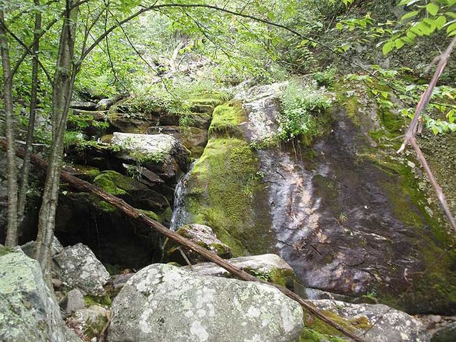 Picture 21 of Torry Ridge and White Rock Falls 083009