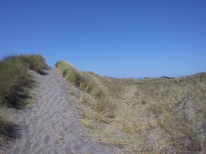 Picture 5 of Towola Dunes