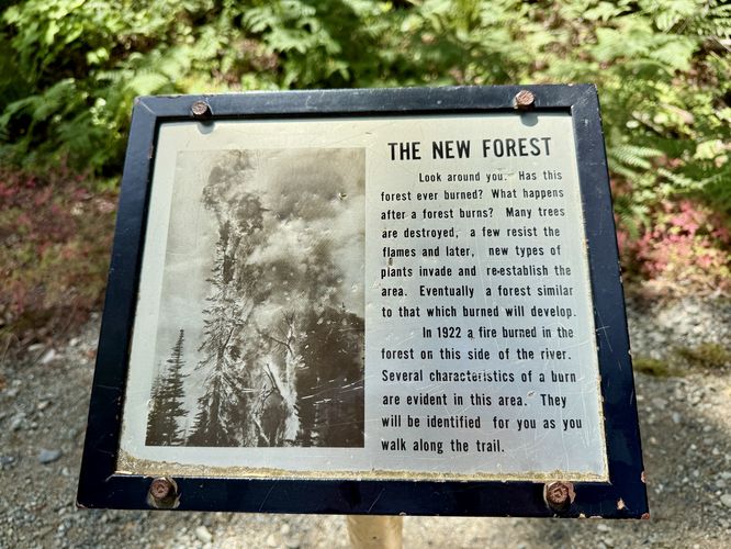 1922 wildfire damage info kiosk