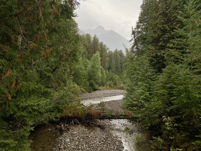 View of Avalanche Creek