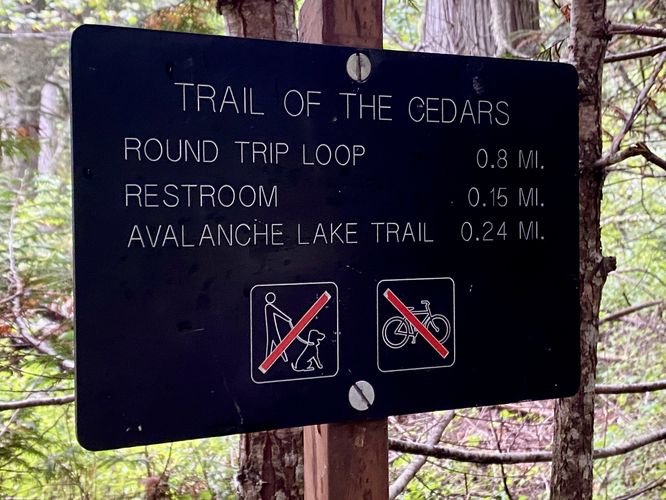 Trail of the Cedars sign