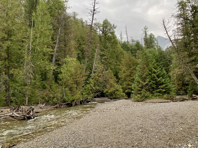 View of Avalanche Creek