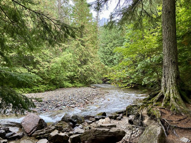 View of Avalanche Creek