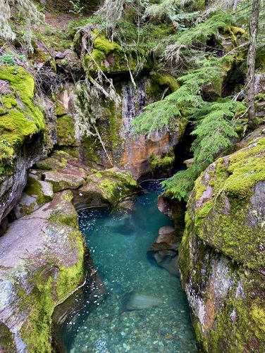 Turquoise water of Avalanche Creek flows through a moss-covered gorge