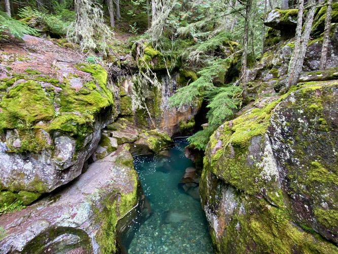 Turquoise water of Avalanche Creek flows through a moss-covered gorge