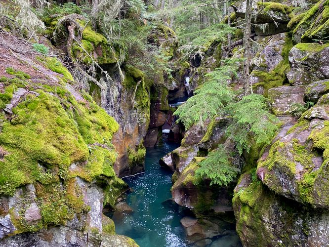 Default image for Trail of the Cedars, a 1.0-mile trail in West Glacier, MT (US)