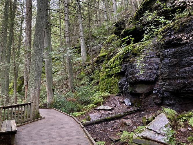 Moss-covered rock ledge