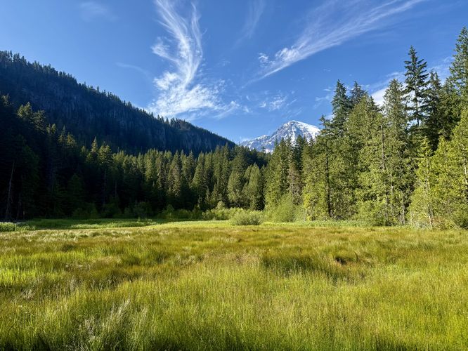 Longmire Meadow and a view of Mt. Rainier