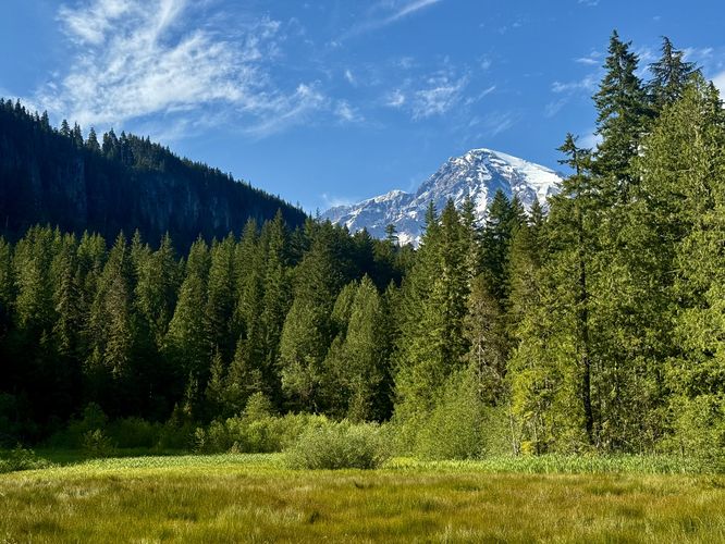 Default image for Trail of the Shadows, a 0.7-mile trail in Longmire, WA (US)