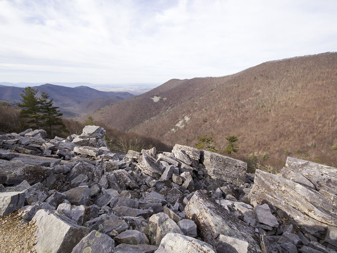 Default image for Trayfoot Mountain and Paine Run Hike, a 9.2-mile trail in Crozet, VA (US)