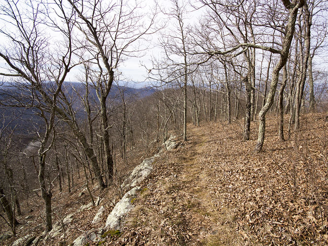 Picture 23 of Trayfoot Mountain and Paine Run Hike 021817