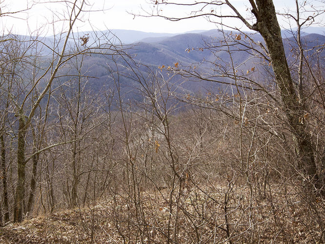 Picture 24 of Trayfoot Mountain and Paine Run Hike 021817