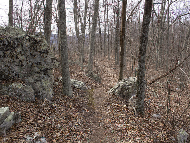 Picture 28 of Trayfoot Mountain and Paine Run Hike 021817