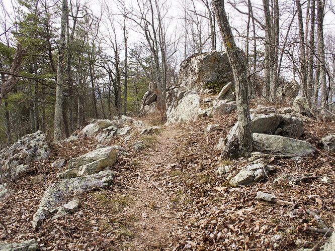 Picture 29 of Trayfoot Mountain and Paine Run Hike 021817