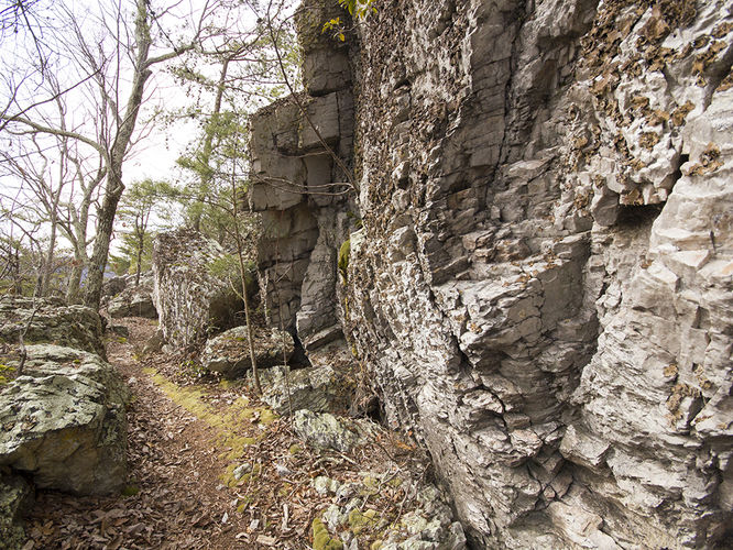 Picture 31 of Trayfoot Mountain and Paine Run Hike 021817