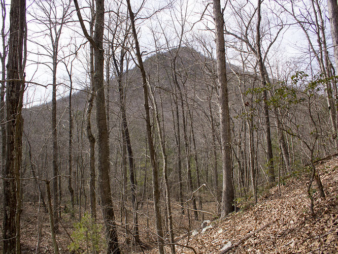Picture 37 of Trayfoot Mountain and Paine Run Hike 021817