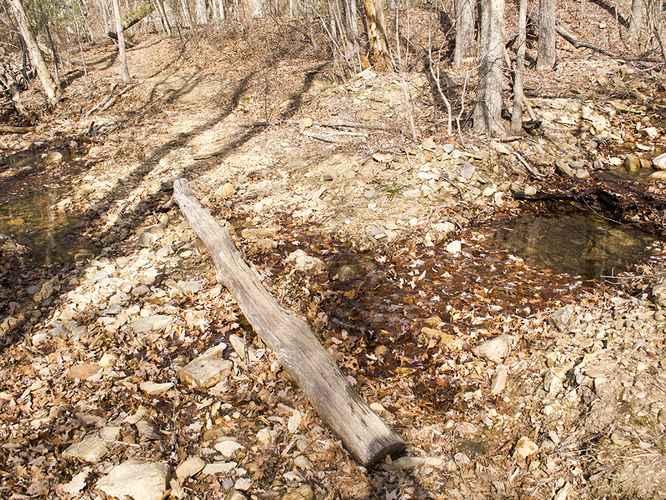 Picture 39 of Trayfoot Mountain and Paine Run Hike 021817