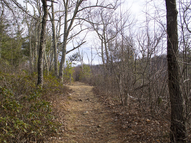 Picture 4 of Trayfoot Mountain and Paine Run Hike 021817