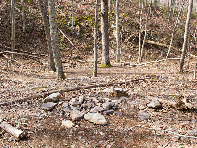 Picture 44 of Trayfoot Mountain and Paine Run Hike 021817