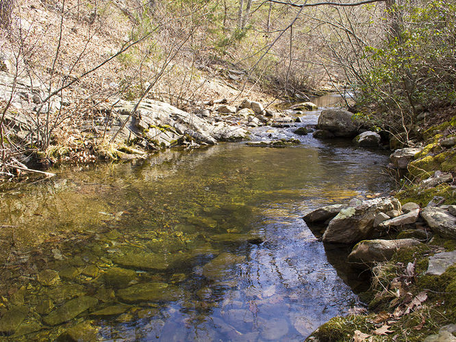 Picture 45 of Trayfoot Mountain and Paine Run Hike 021817
