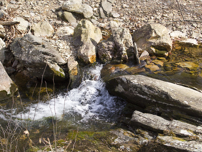 Picture 46 of Trayfoot Mountain and Paine Run Hike 021817
