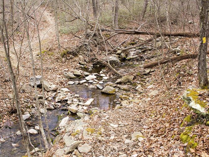 Picture 49 of Trayfoot Mountain and Paine Run Hike 021817