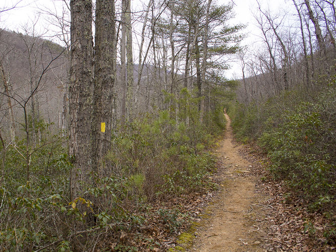 Picture 50 of Trayfoot Mountain and Paine Run Hike 021817