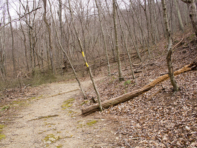 Picture 52 of Trayfoot Mountain and Paine Run Hike 021817