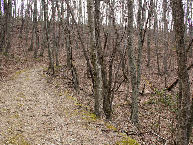 Picture 53 of Trayfoot Mountain and Paine Run Hike 021817