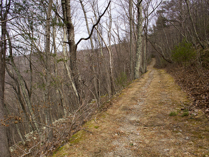 Picture 54 of Trayfoot Mountain and Paine Run Hike 021817