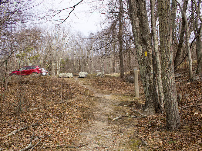 Picture 55 of Trayfoot Mountain and Paine Run Hike 021817