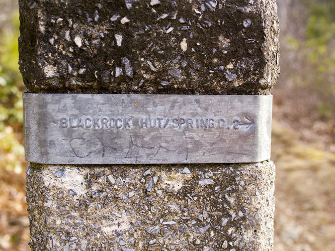 Picture 6 of Trayfoot Mountain and Paine Run Hike 021817