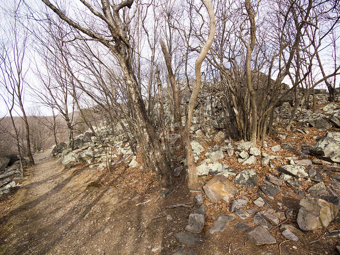 Picture 10 of Trayfoot Mountain and Paine Run Hike 021817