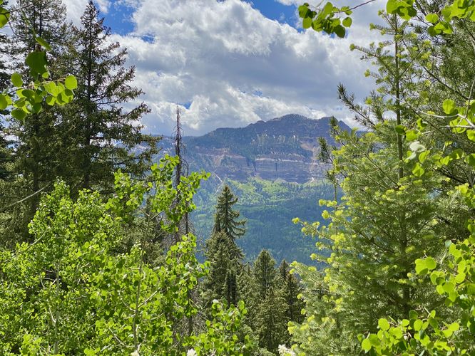 Falls Creek Blowout (view of Saddle Mountain)