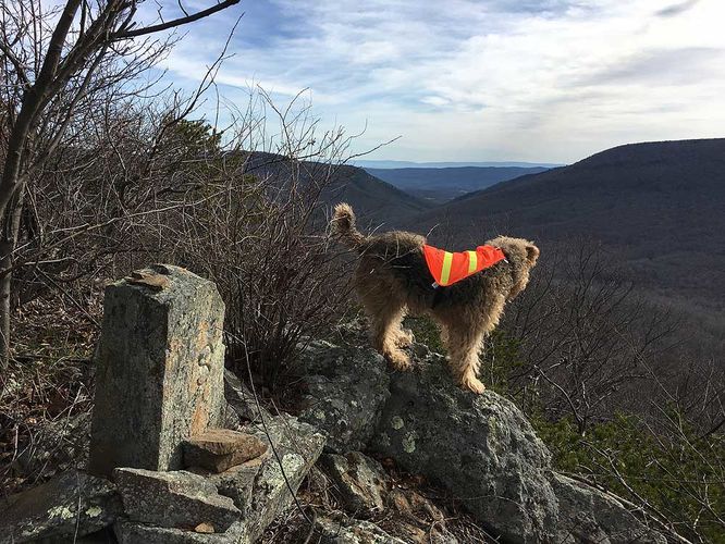 Picture 5 of Tri County Hike 021817