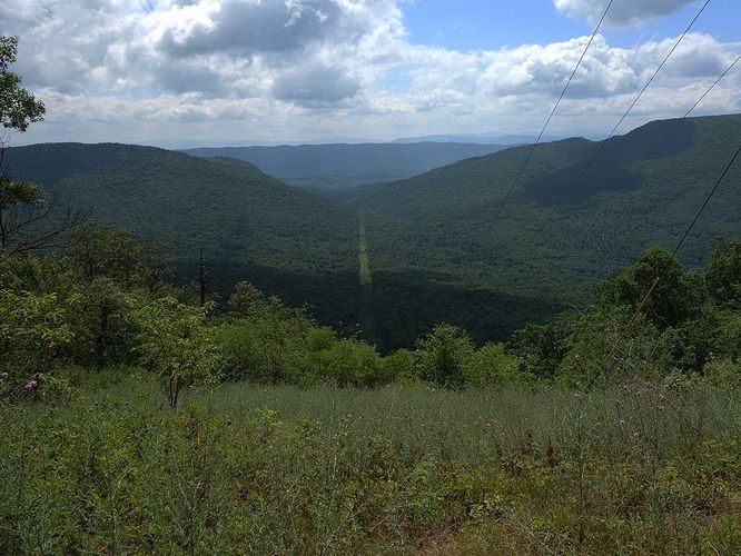 Picture 11 of Tri County Hike 070717