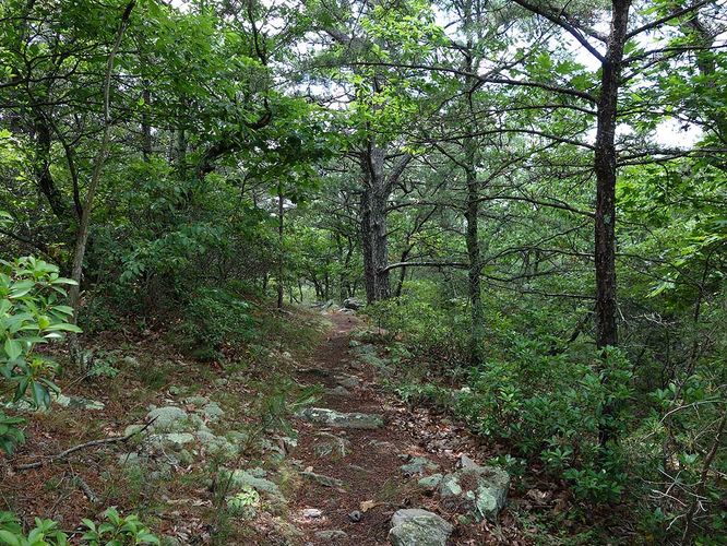 Picture 5 of Tri County Hike 070717