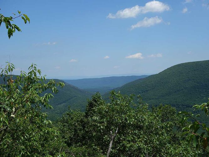 Default image for Tri-County Hike, a 8.2-mile trail in Wardensville, WV (US)